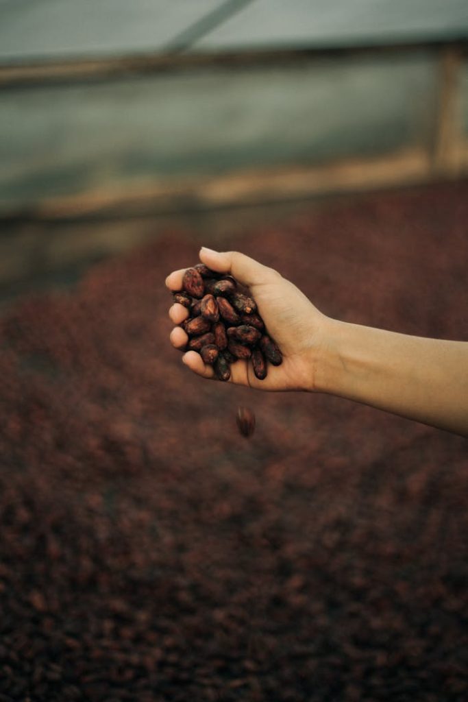 close-up-shot-a-person-holding-cocoa-beans-4157805