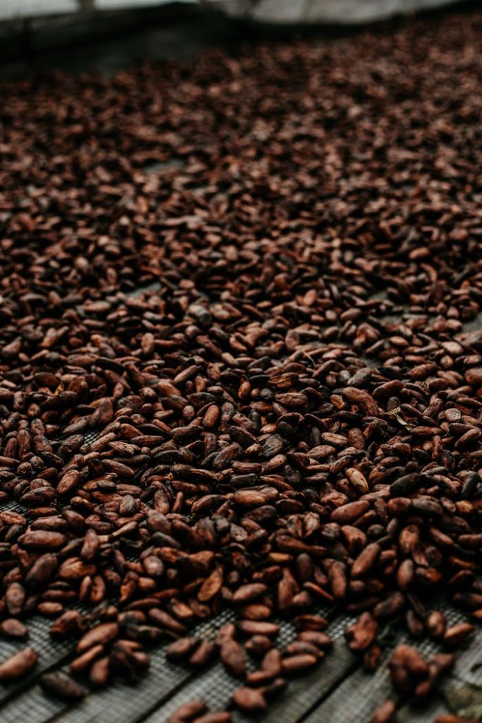 close-up-shot-of-cocoa-beans-4157754