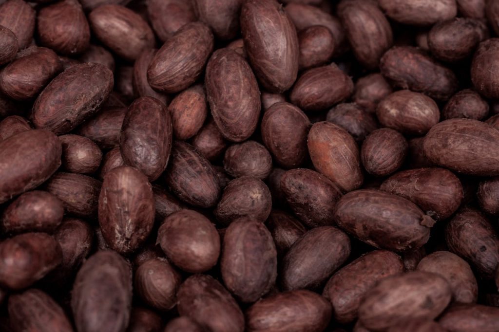 full-shot-of-brown-cocoa-beans-5208267